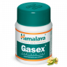 Газекс (Gasex) 100 таб - Himalaya